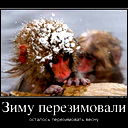 Дмитрий Даниленко