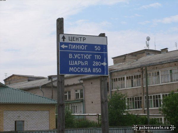 Александр Нестеров