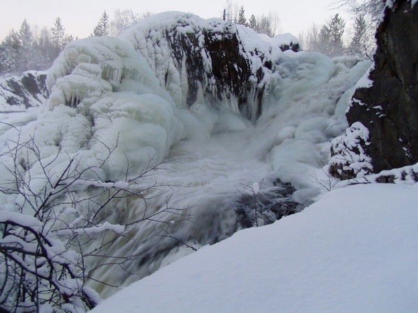 Елена Хрустовская