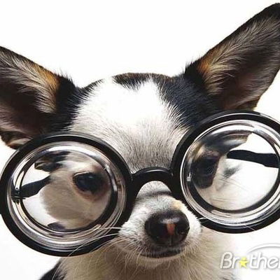 Артём Кетегечев