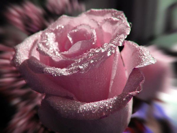 Наталия Колосова