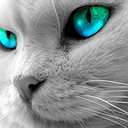 Алеся Душкевич