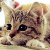 Дарья Кузеванова