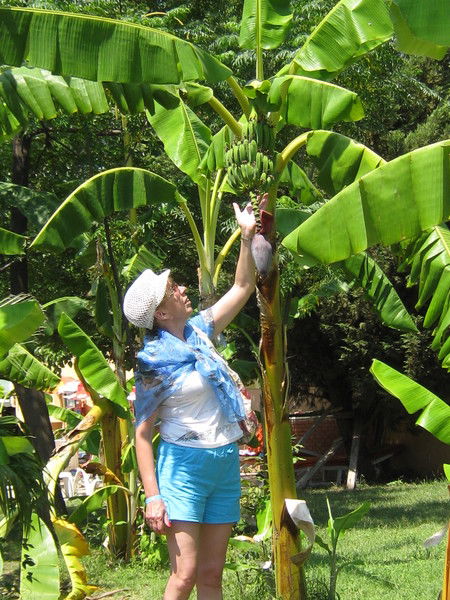 Надя Зайцева