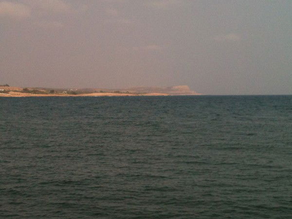 Ирина Жученко