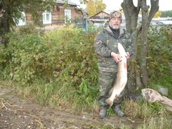 Андрей Олонцев