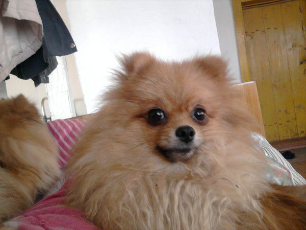 Сергей Бичу