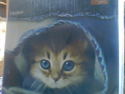 Ксюша Кочеткова