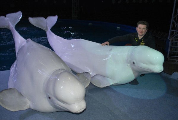 Вова Чайковский