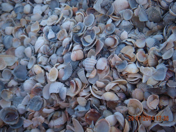 Ирина Корнийчук