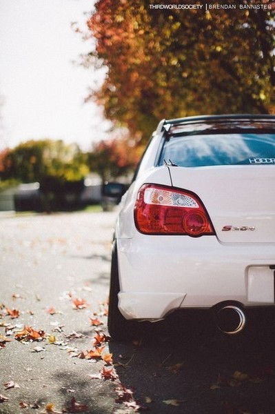 ↑→Колян Новиков ™←↑