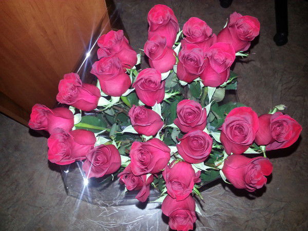 Арайлым Жакупова