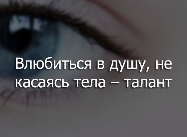 Жук Колорадский