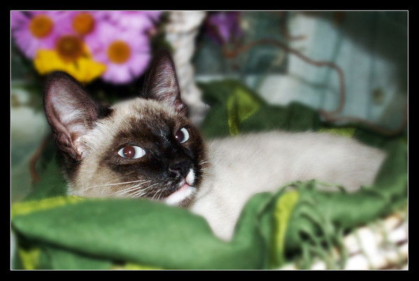 Людмила Кочнова