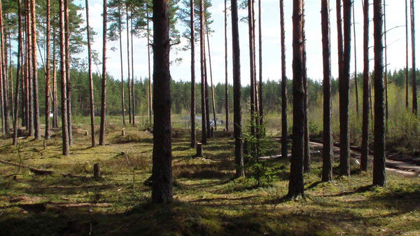 Галина Гаврилова