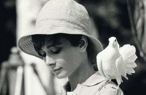 Гульнур Оспанова