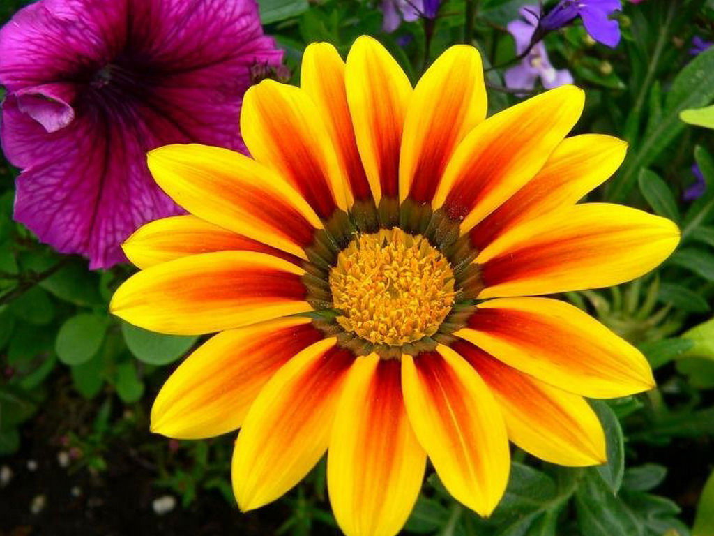 Светлана Бутко