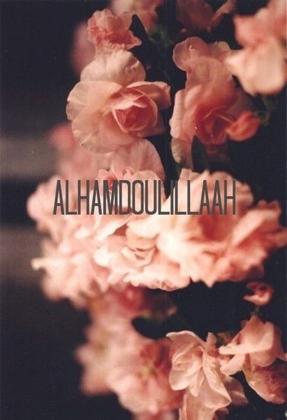 Аяука ............