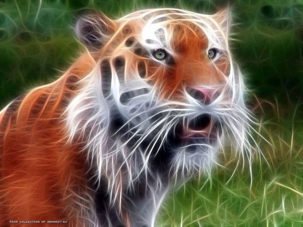 Михаил Лебедев