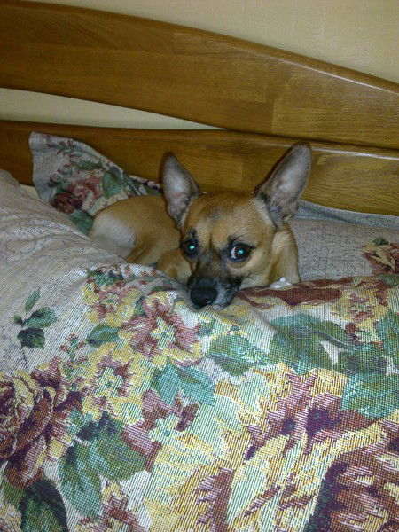 Людмила Дудинская