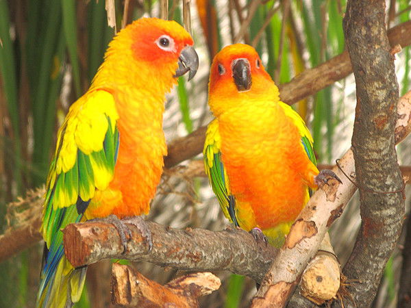 Юля Оськина