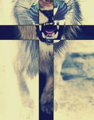 Алина Котатова