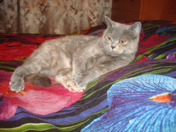 Ольга Скурихина