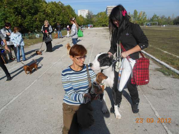 Юлия Парфенова