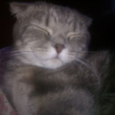 Настёна Алексеенко