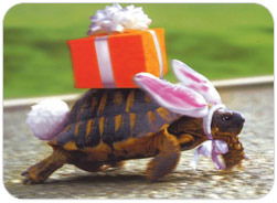 Александр Сердюк