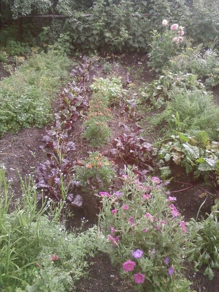 Любовь Иванова