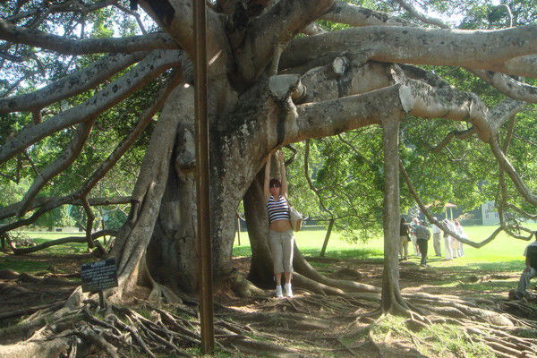 Лариса Матросова