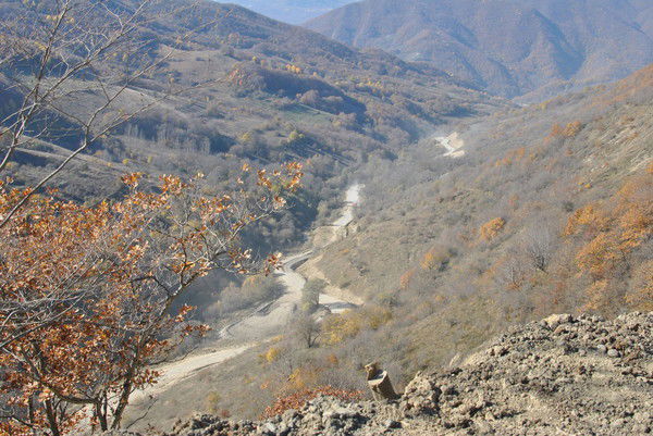 Татьяна Панфилова