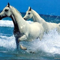 Валентина Лошковская