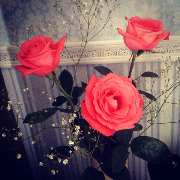 Лика Нормальная