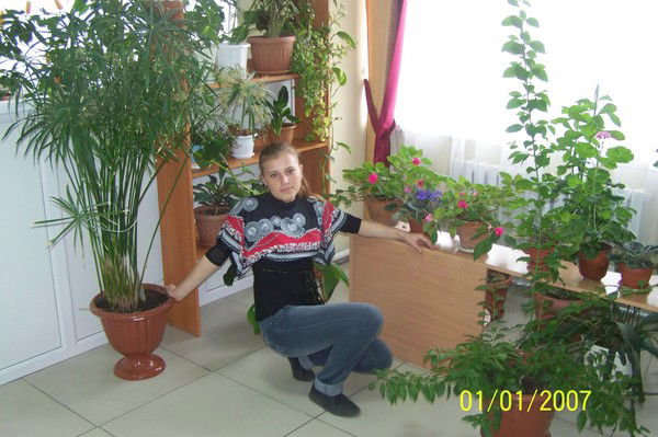 Алла Древова