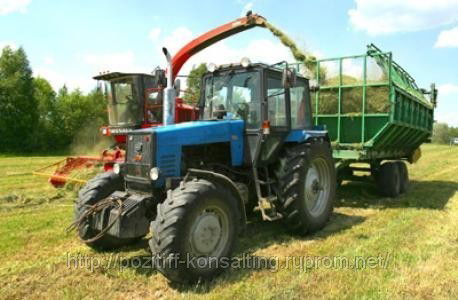 Колхоз (Спк) Ленина