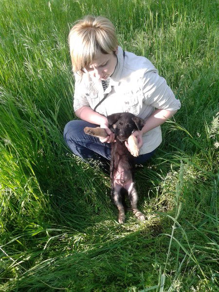 Света Ганбарова