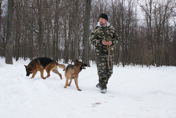 Сергей Колесник