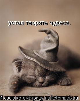 Екатерина Матвеева