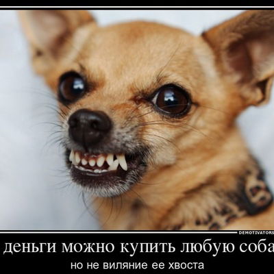 Рома Бухреев