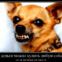 Рома Бухреев