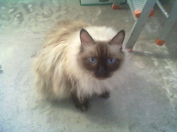 Ольга Боброва