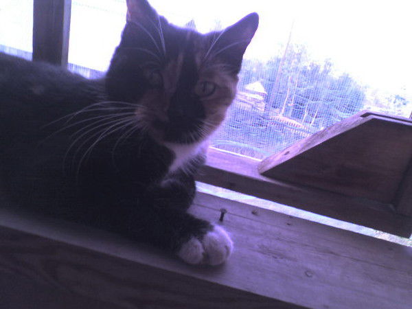 Неизвестно Неизвестно