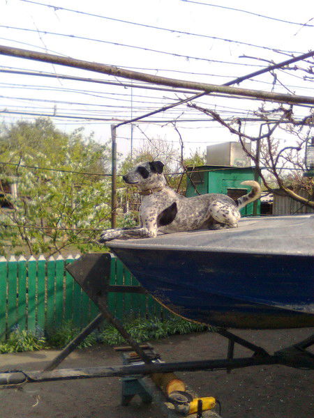 Андрей Викторович