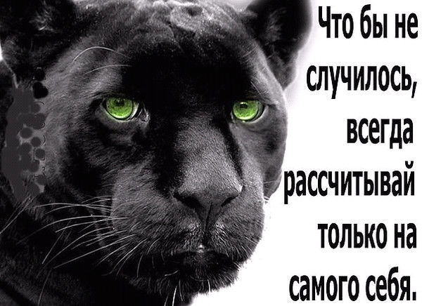 Константин Шинов