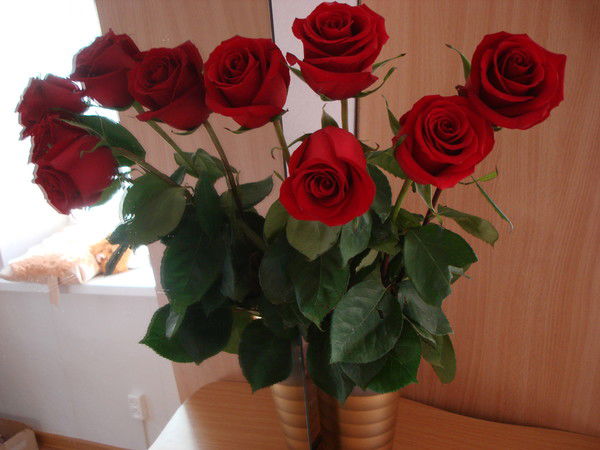 Sveta Виговская