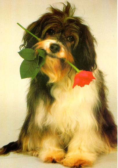 Нюша Куколка