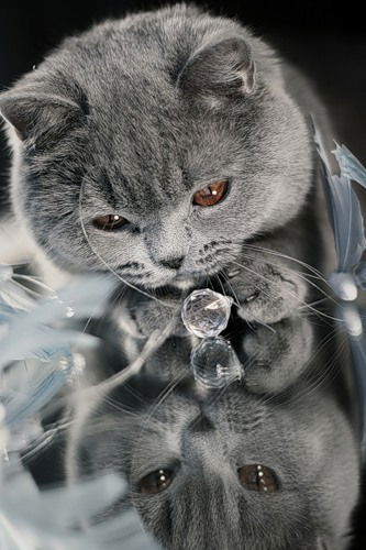 Зинаида Белова