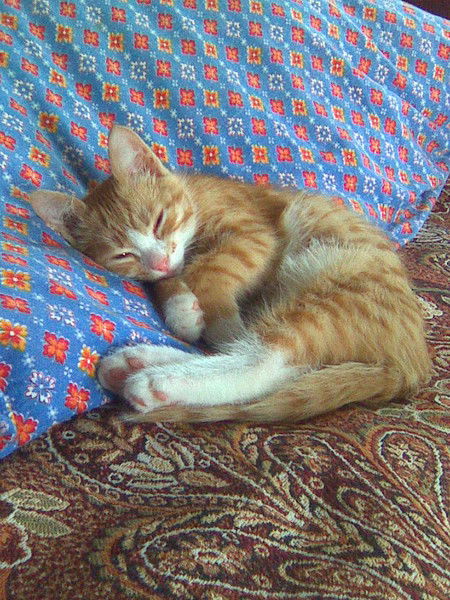 Лидия Кашапова